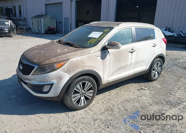 KNDPCCAC8F7684716: 43234159