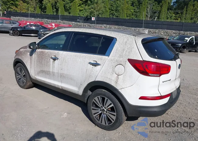 KNDPCCAC8F7684716: 43234159