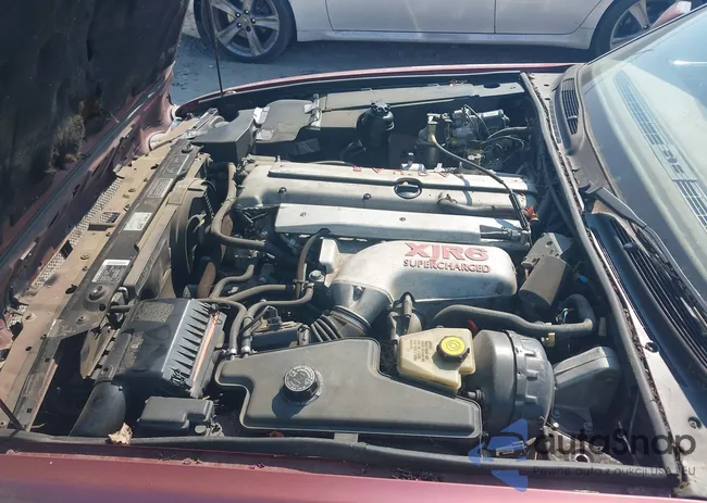 SAJPX1141TC781357: 43234258