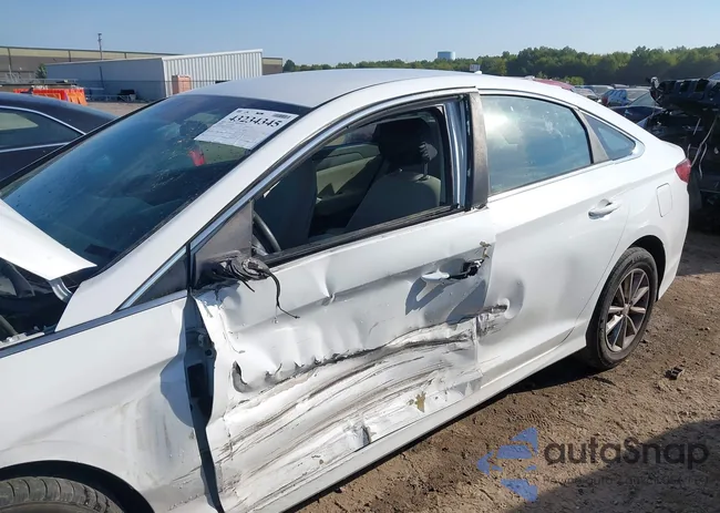 5NPE24AF8KH791295: 43234345