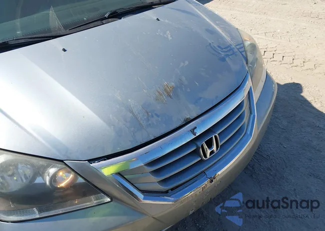 5FNRL38428B073164: 43233758