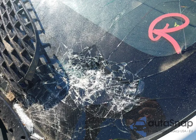 7SAXCBE61NF331535: 43236222