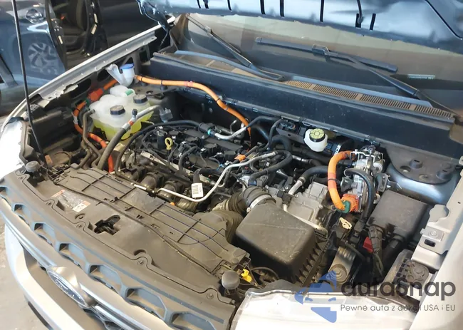 3FTTW8H35RRB32760: 43236274