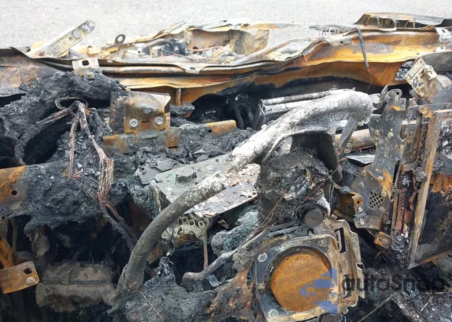 4S4BTALC3S3264337: 43236366