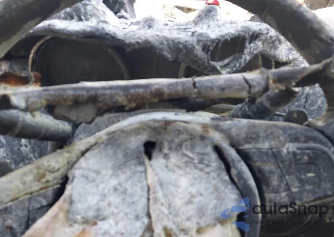 SAJAJ4FX1JCP38811: 43236953