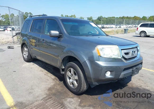 5FNYF3H51AB008162: 43236987