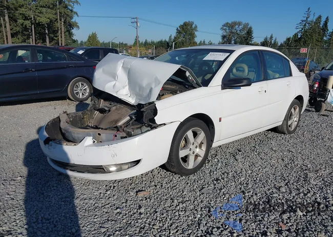 1G8AL55F96Z168563: 43237123