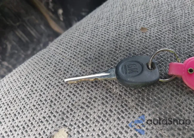 1GCGG25C591130050: 43236500