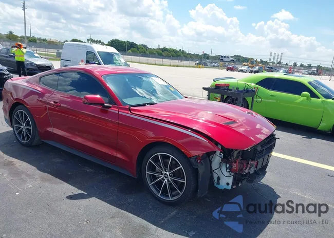 1FA6P8TH8K5132814: 43236618