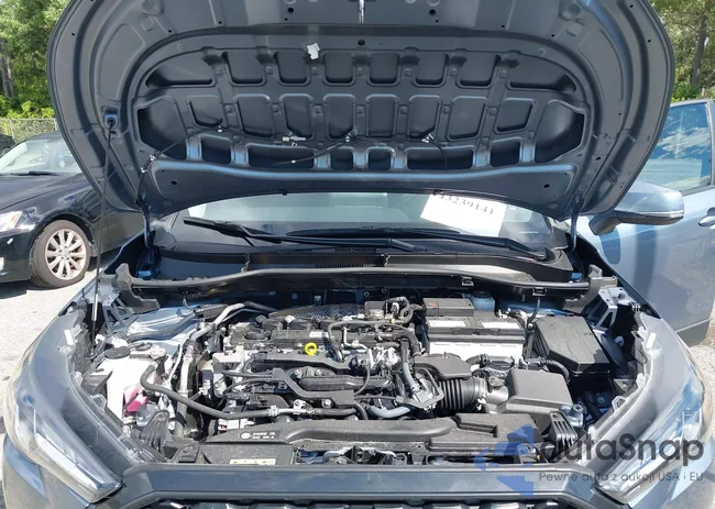 7MUCAAAG9RV089790: 43239141