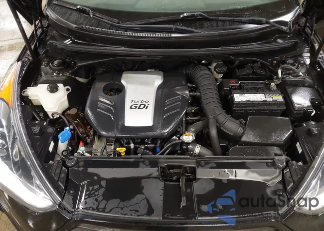 KMHTC6AE8FU239181: 43239248