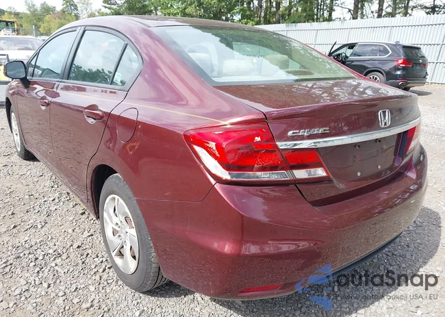 19XFB2F55DE219617: 43239434