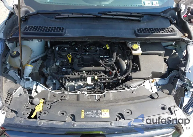 1FMCU9HD1KUB51269: 43238671