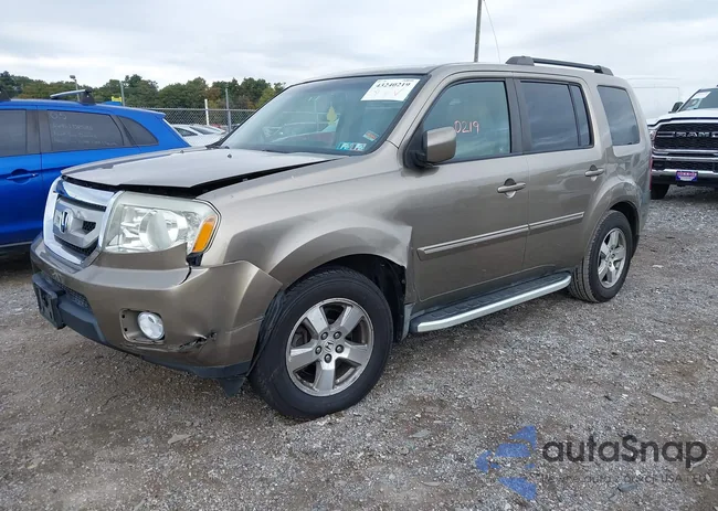 5FNYF48529B021830: 43240219