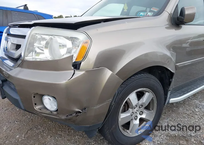 5FNYF48529B021830: 43240219