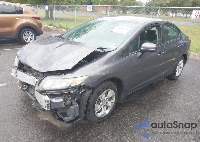 19XFB2F51FE097406: 43241029