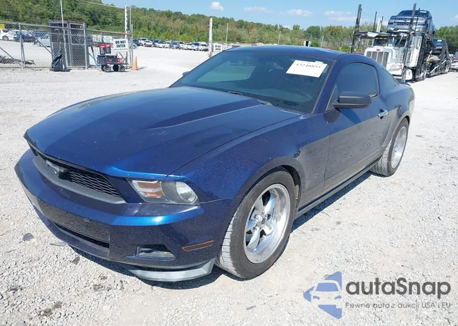 1ZVBP8AM7B5164210: 43240855