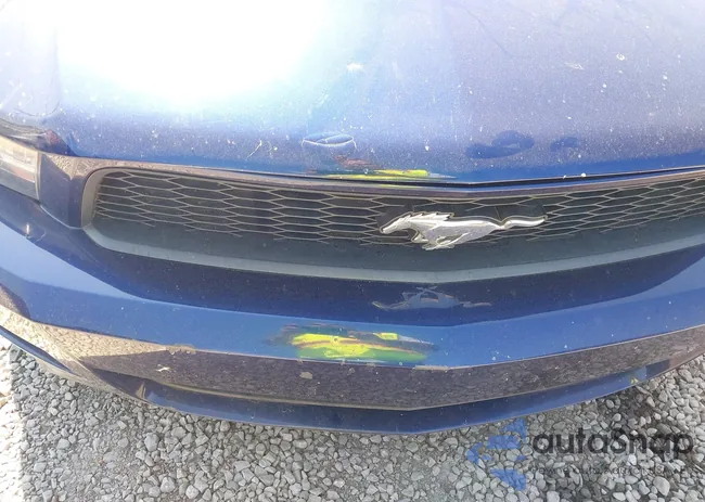 1ZVBP8AM7B5164210: 43240855