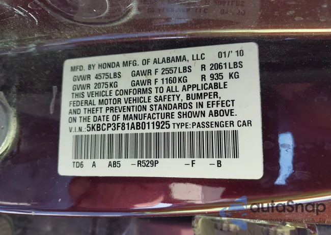 5KBCP3F81AB011925: 43241920