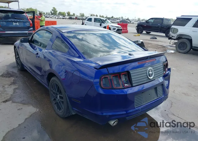 1ZVBP8AM4E5254533: 43241522