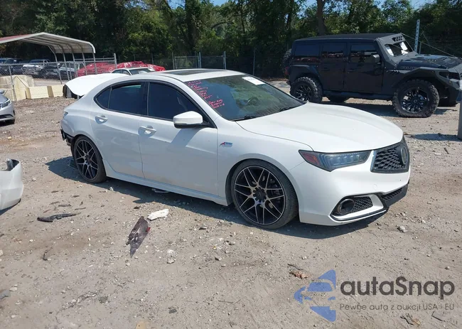 19UUB3F60KA006064: 43241582