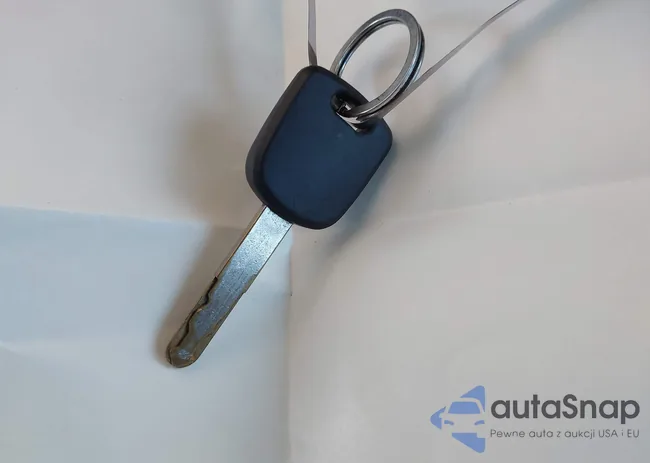 19XFB2F55CE383304: 43241773