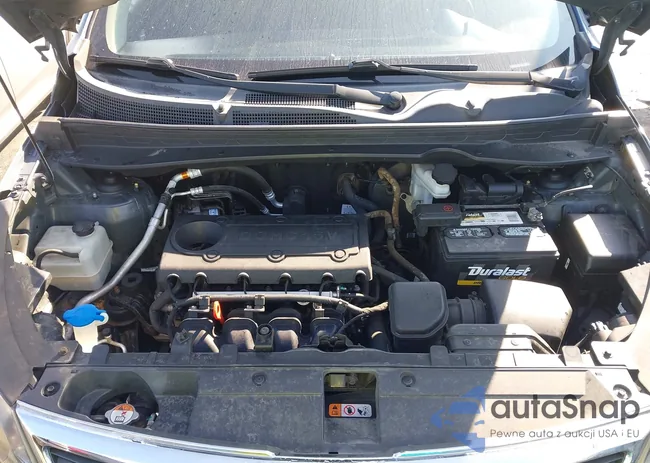 KNDPB3A29D7532029: 43242490