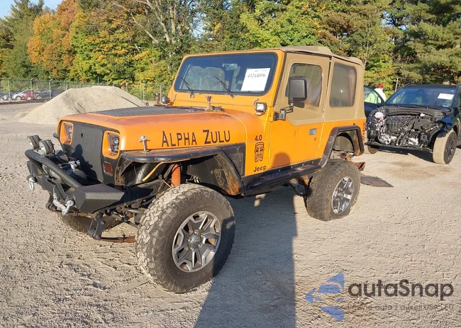 1J4FY49S2PP262662: 43244096