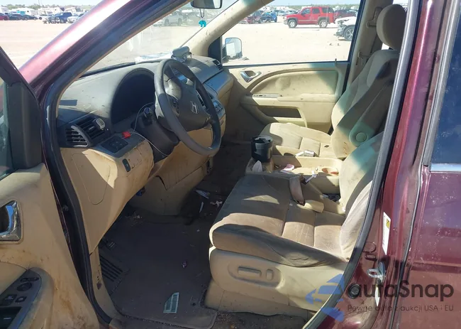 5FNRL38418B065556: 43244305