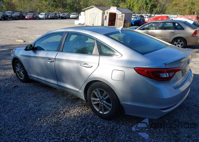 5NPE24AF8FH186778: 43243807