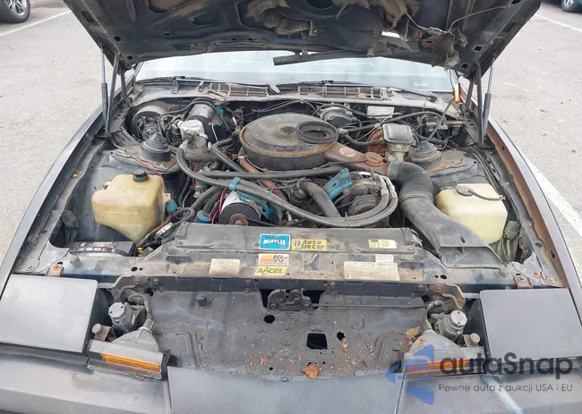 1G2AW87G0EL235254: 43246166