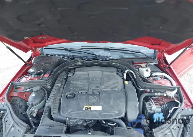 WDDKJ5KB9EF244645: 43246172