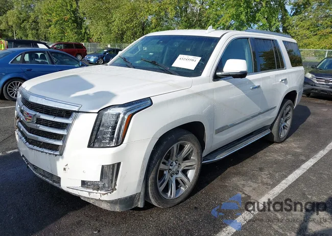 1GYS4BKJ9GR303485: 43245584