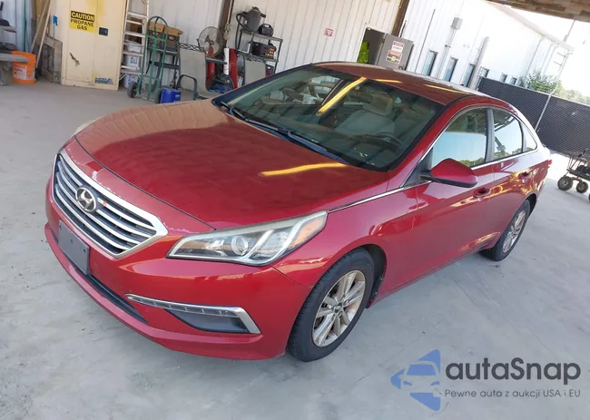 5NPE24AF6FH153830: 43245609