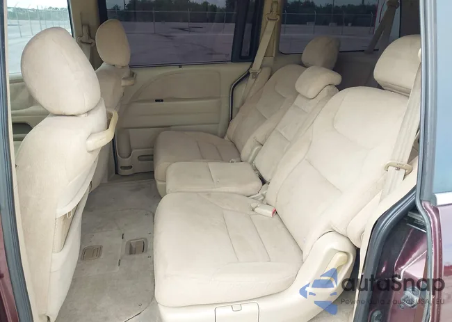 5FNRL38437B061636: 43245812