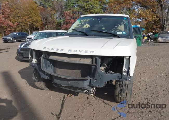 SALME1D49AA309623: 43246868