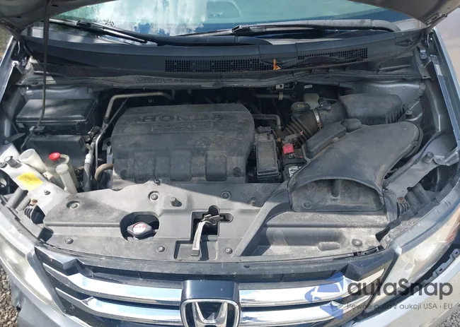 5FNRL5H31GB114482: 43247281