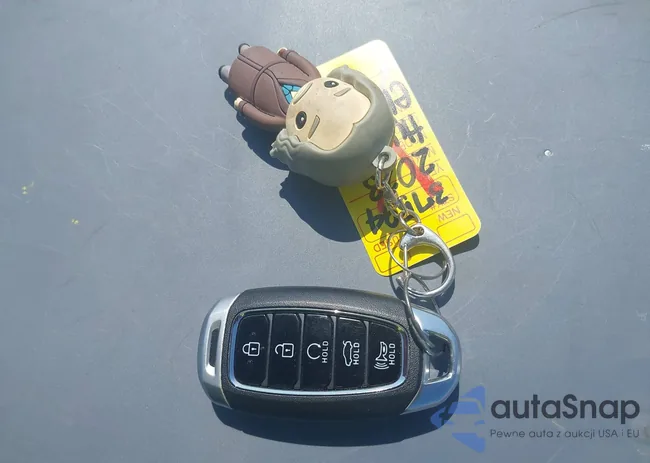 5NPLM4AG4PH087595: 43247378