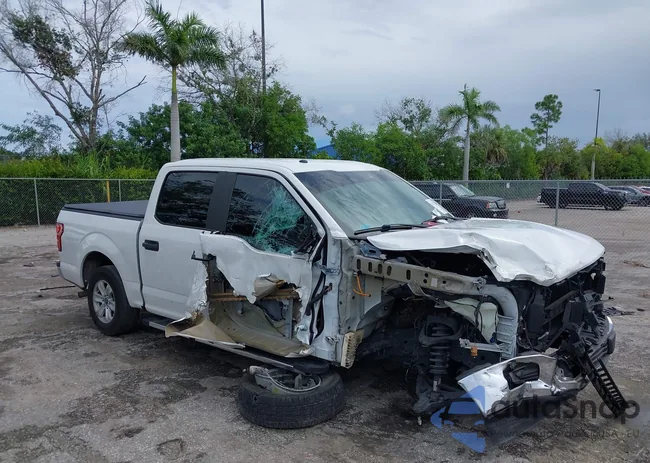 1FTEW1CB7KFA29731: 43247396