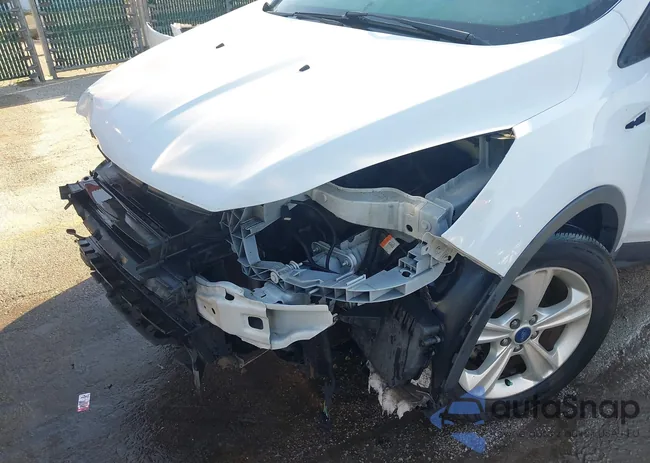 1FMCU0F75EUE07670: 43246474