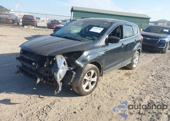 1FMCU9GX0GUC07995: 43246786