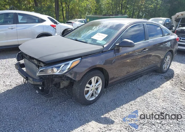 5NPE24AF7HH457607: 43247928