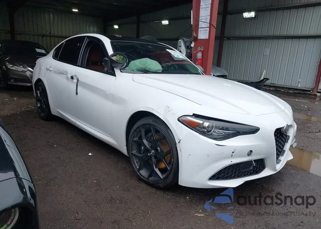 ZARFANANXK7612608: 43248201