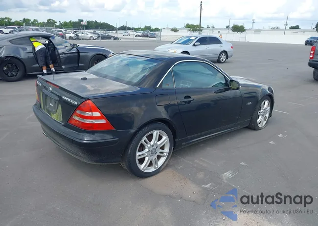 WDBKK49F24F307513: 43248350