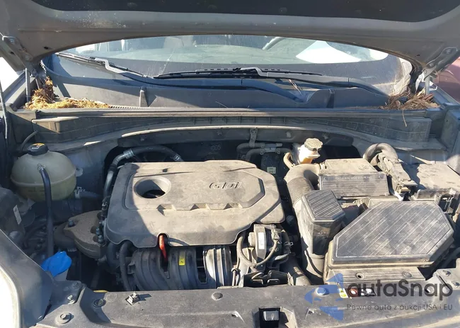 KNDPM3AC9H7176643: 43248989