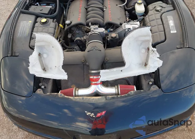 1G1YY22G525121011: 43249360