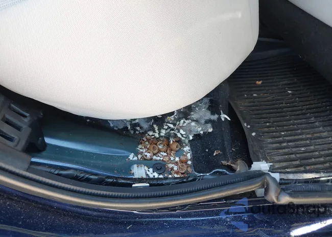 JTDEPRAE1LJ066121: 43249451