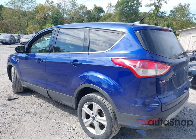 1FMCU9G98FUB32236: 43248764