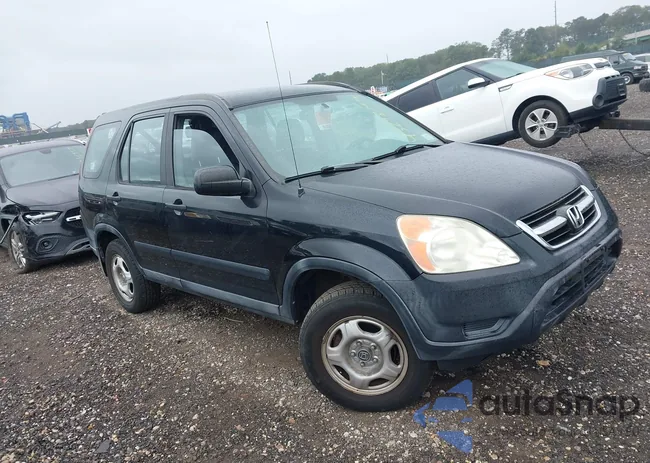 SHSRD78473U159172: 43248794