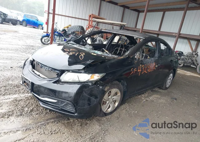 2HGFB2F55EH522596: 43248818